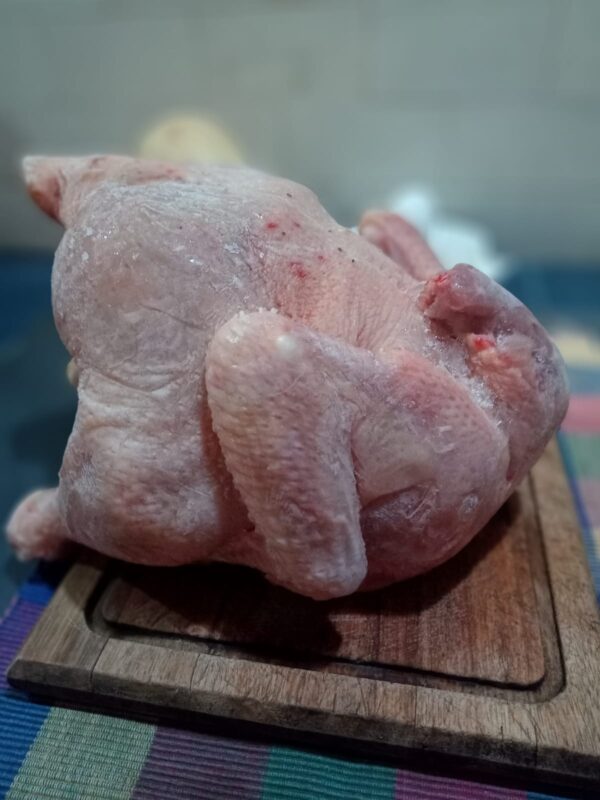 Pollo de Campo de Navarro - PAVITA 4.5kg aprox