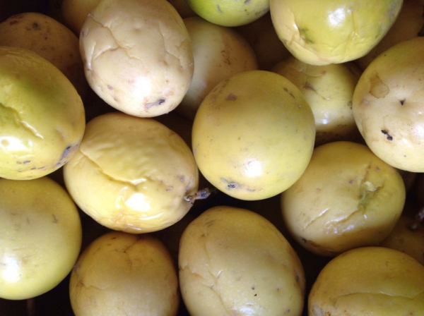 Maracuyá Agroecologico de Orán