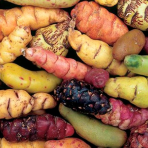 Mix Papas Andinas Agroecológicas de Iruya x250grs.