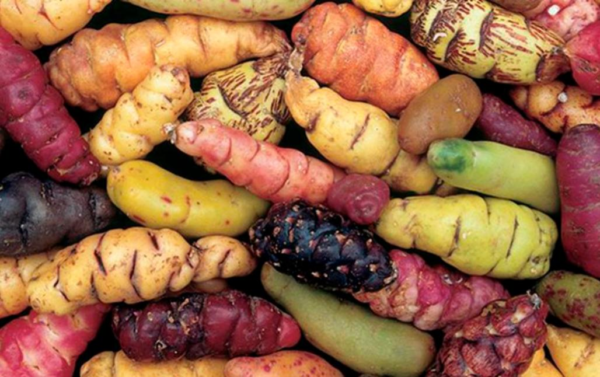 Mix Papas Andinas Agroecológicas de Iruya x250grs.