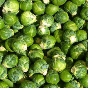 Repollitos de bruselas Agroecológicos de UTT x500grs.