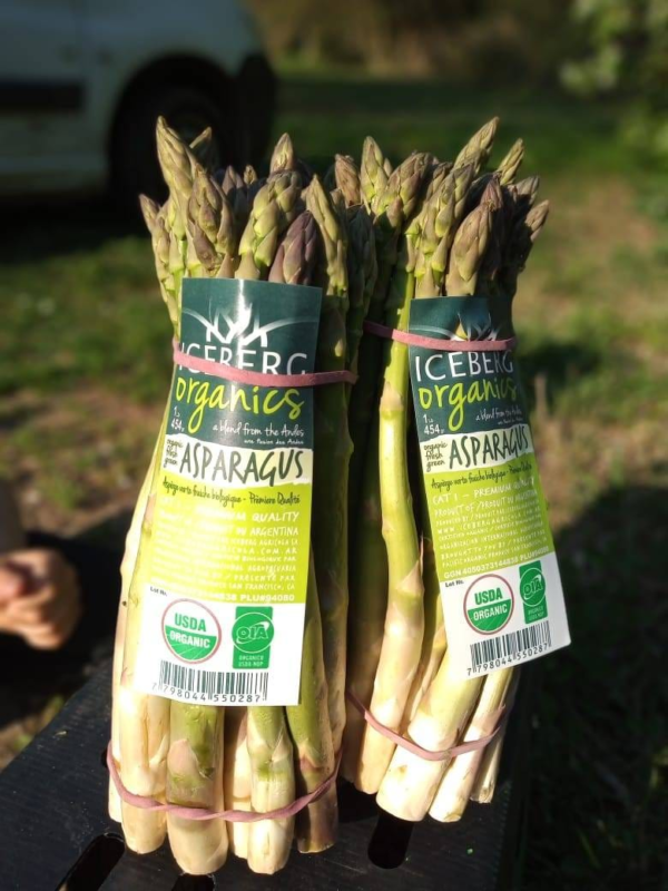 Esparragos orgánicos de Iceberg atado x450gr aprox.