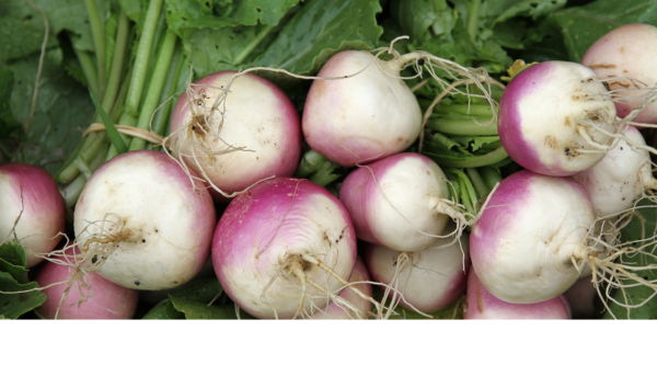 Nabito Agroecológico de Raquel xPaq.