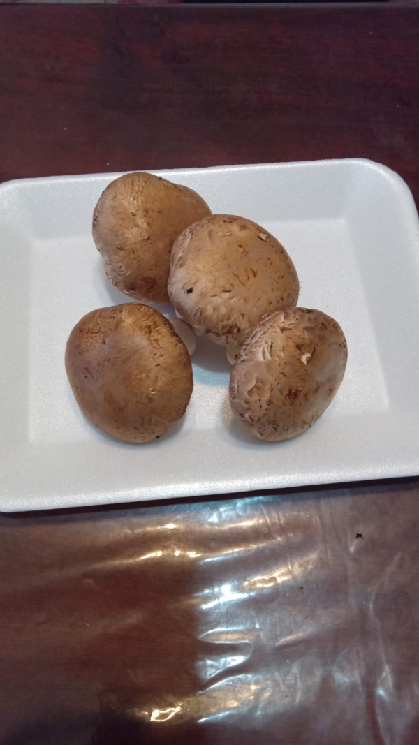 Hongos portobello x200 gr