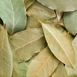 Laurel x Atado de Agroprimavera