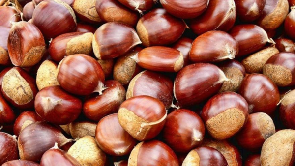 Castañas Agroecologicas de coop. Lejardinere x100grs.
