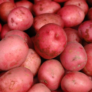 Papa Colorada Agroecológica de Los Serenos xkg