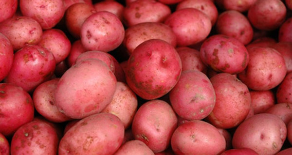 Papa Colorada Agroecológica de Los Serenos xkg