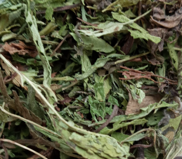 Hojas de Stevia Campos Robles