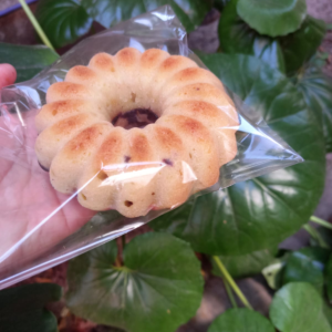 JULI - Budin vegano individual