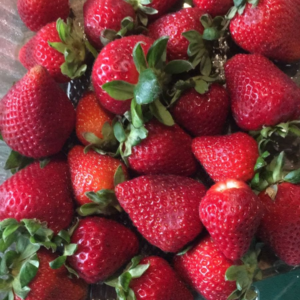 Frutilla Agroecológica de UTT x500grs.