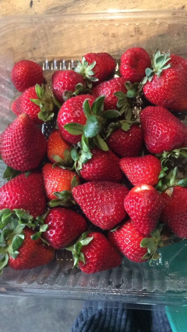 Frutilla Agroecológica de UTT x500grs.