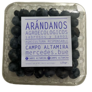 Arándanos Agroecológicos Frescos de Jáuregui x blíster 125grs.