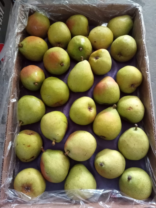 Pera Williams Orgánica Certificada de Flor Dorada xkg