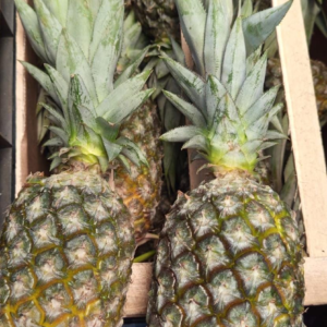Ananá Agroecológica de Clanci (Misiones) x Unidad 1.2kg aprox.