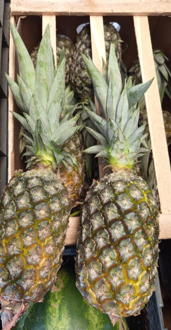 Ananá Agroecológica de Clanci (Misiones) x Unidad 1.2kg aprox.