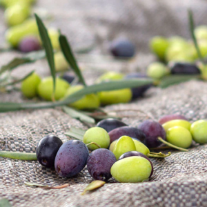 Aceitunas San Nicolás NEGRAS x250grs.