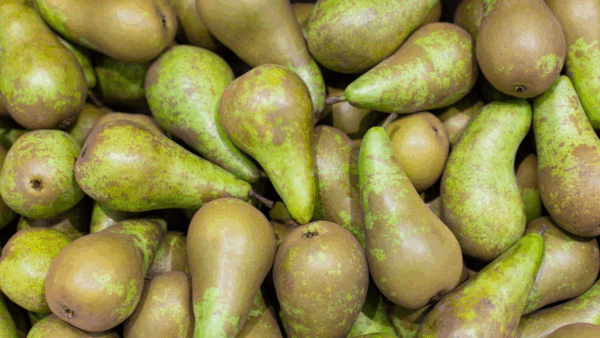 Pera Packham Orgánica de Pluma Azul xkg