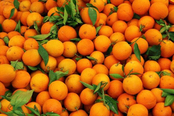 Mandarinazo Agroecologico 2kg